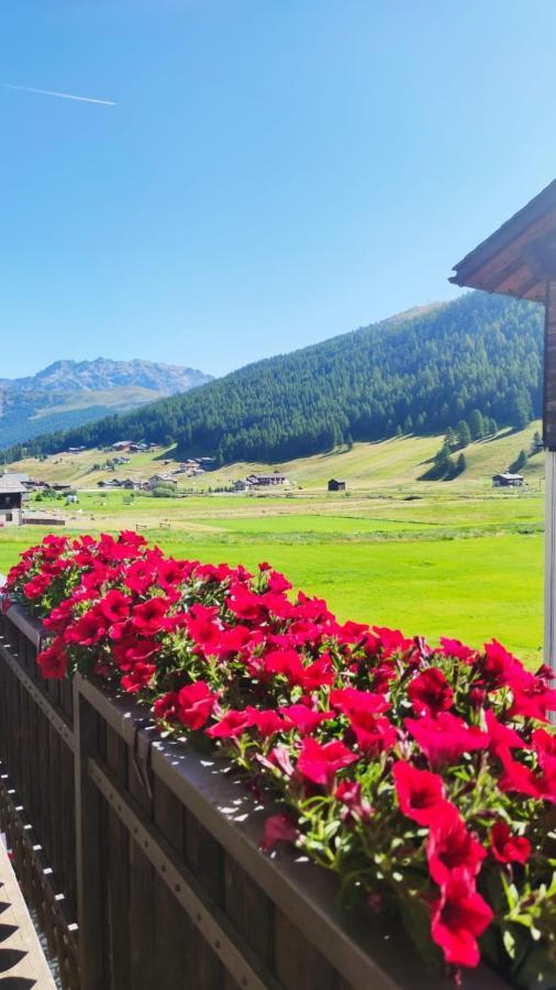Da Florin Chalet Livigno